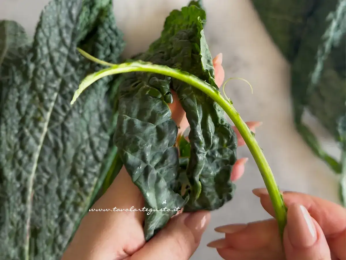 Cavolo nero, come pulirlo e cuocerlo al meglio