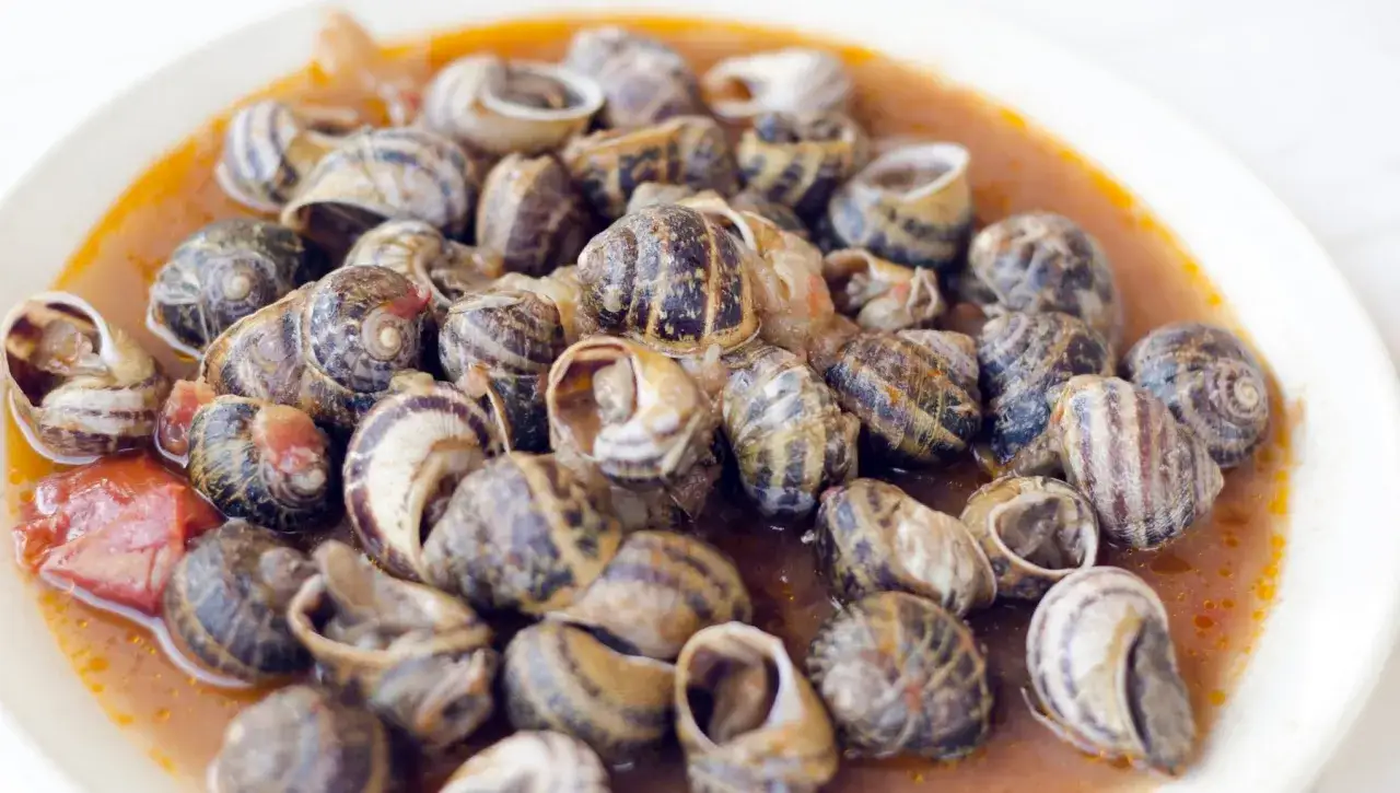 Piatto di lumache in umido, un sapore autentico dei piatti tipici della Calabria, con pomodoro e spezie.
